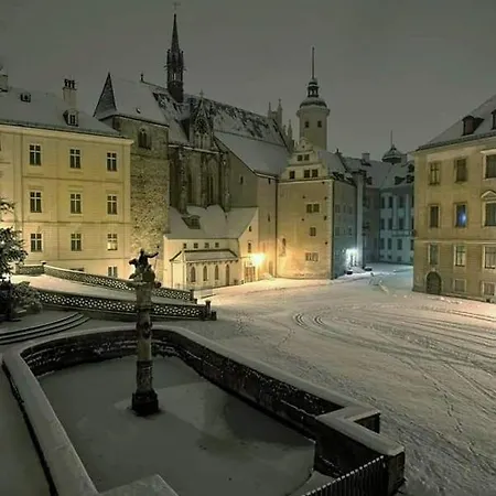 Pension Altenburg City *